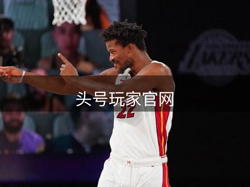 网站概况