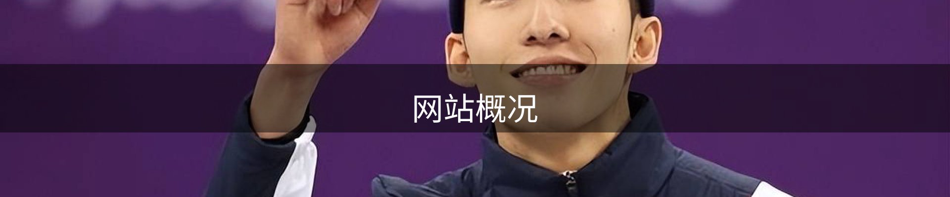 网站概况